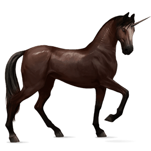 jezdecký jednorožec achaltekinský kůň Černý hnědák