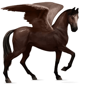 jezdecký pegas achaltekinský kůň Černý hnědák