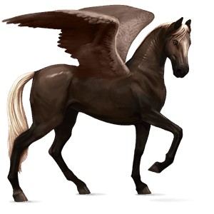 jezdecký pegas achaltekinský kůň světlý ryzák