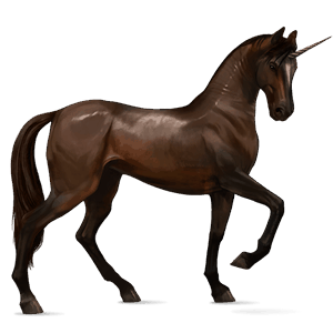 jezdecký jednorožec francouzský jezdecký kůň Černý hnědák