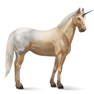 jezdecký jednorožec appaloosa palomino blanket