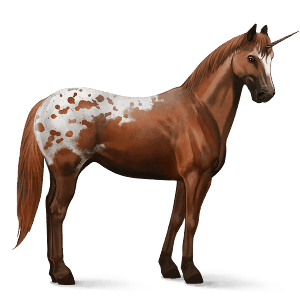 jezdecký jednorožec american paint horse hnědák tobiano