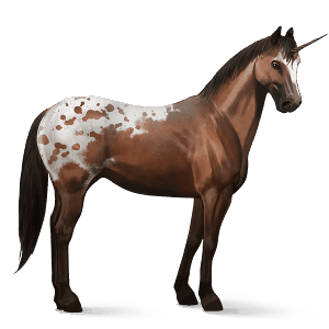 jezdecký jednorožec american paint horse Černý ryzák tobiano