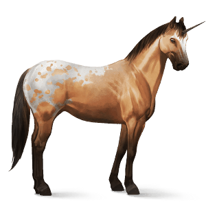 jezdecký jednorožec american paint horse Černý hnědák tovero 