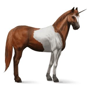 jezdecký jednorožec american paint horse ryzák tobiano