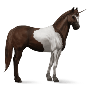 jezdecký jednorožec american paint horse Černý ryzák tobiano