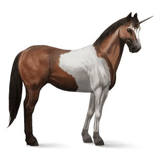 jezdecký jednorožec american paint horse hnědák tobiano