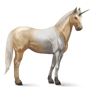 jezdecký jednorožec american paint horse palomino tobiano