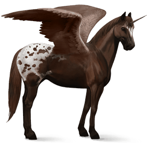 okřídlený jezdecký jednorožec american paint horse Černý hnědák tobiano