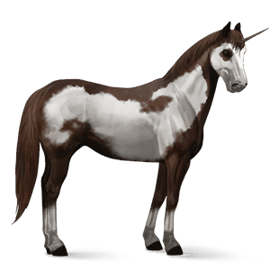 jezdecký jednorožec american paint horse Černý ryzák tobiano