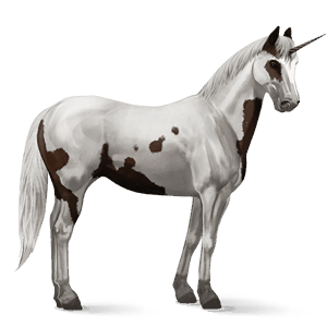 jezdecký jednorožec american paint horse Černý ryzák tovero