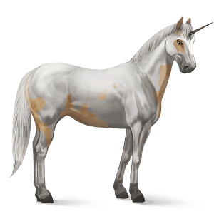 jezdecký jednorožec american paint horse palomino tovero