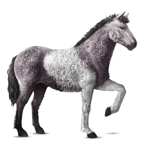 jezdecký kůň american paint horse hnědák tobiano
