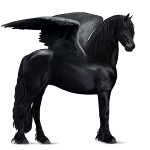 jezdecký pegas achaltekinský kůň bělouš