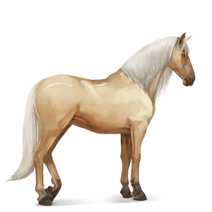 jezdecký kůň appaloosa sorrel spotted blanket