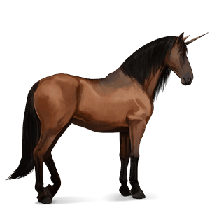 jezdecký jednorožec andaluský kůň hnědák