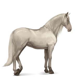 jezdecký kůň andaluský kůň cremello