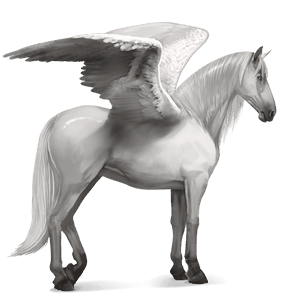 jezdecký pegas andaluský kůň bělouš