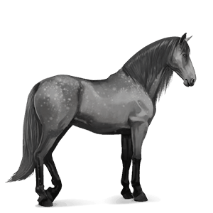 jezdecký kůň mangalarga marchador smíšený bělouš