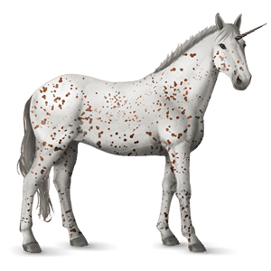 jezdecký jednorožec appaloosa sorrel leopard