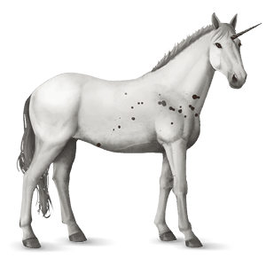 jezdecký jednorožec american paint horse tmavý hnědák tobiano