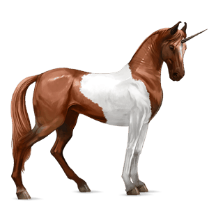 jezdecký jednorožec american paint horse tmavý hnědák tobiano