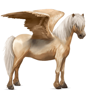 ponypegas haflinger palomino