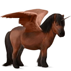 okřídlený poníkorožec  shetlandský pony hnědák