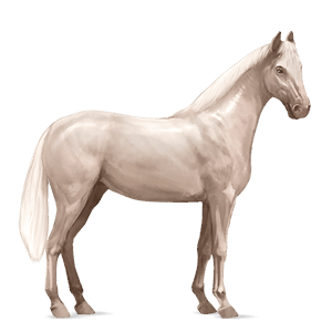 jezdecký kůň quarter horse bělouš