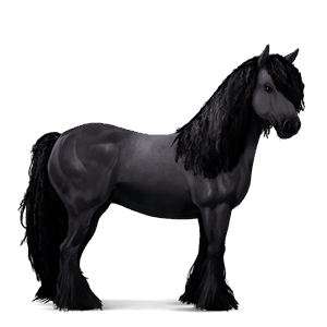 jezdecký kůň berberský kůň smíšený bělouš