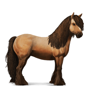 jezdecký kůň irský hunter palomino