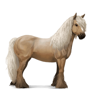 jezdecký kůň holštýnský kůň světlý ryzák
