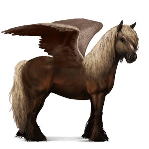 jezdecký pegas finský kůň játrový ryzák