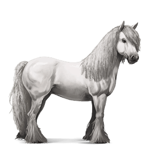 jezdecký kůň andaluský kůň smíšený bělouš