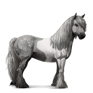 jezdecký kůň achaltekinský kůň hnědák