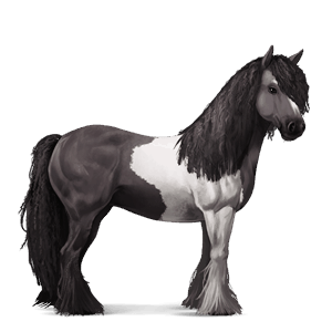 jezdecký kůň american paint horse plavák tobiano