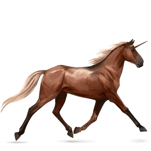 jezdecký jednorožec argentinský kreolský kůň ryzák
