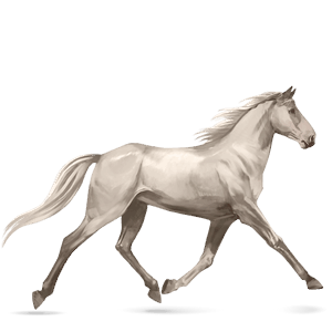 jezdecký kůň francouzský klusák Černý ryzák