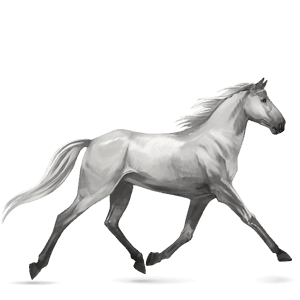 jezdecký kůň achaltekinský kůň bělouš