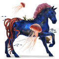 jezdecký kůň arabský plnokrevník hnědák