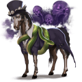jezdecký kůň anglický plnokrevník tmavý hnědák