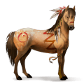 jezdecký kůň achaltekinský kůň smíšený bělouš