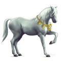 jezdecký kůň arabský plnokrevník Černý hnědák