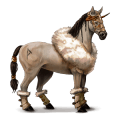 jezdecký pegas francouzský jezdecký kůň ryzák