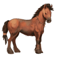jezdecký kůň quarter horse hnědák