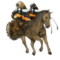 jezdecký kůň mangalarga marchador hnědý bělouš