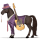 jezdecký kůň mustang black spotted blanket